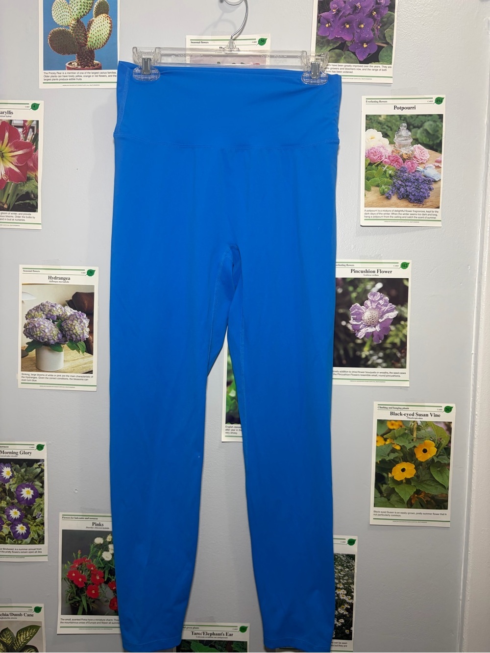 lululemon athletica High-Rise Performance Leggings in Vivid Blue